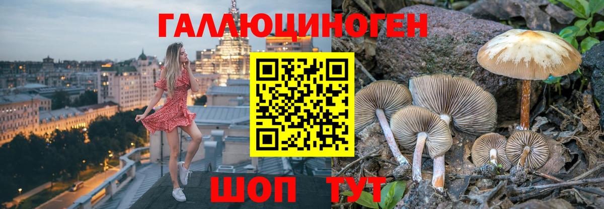 Галлюциногенные грибы GOLDEN TEACHER Дубна