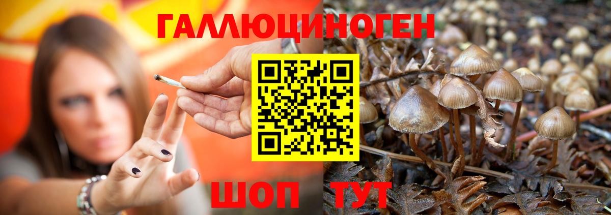 Псилоцибиновые грибы мицелий  Вход с VPN  Дубна 